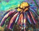 Echinacea: with abandon